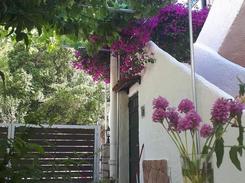 Achilleas Rooms Сивота Экстерьер фото